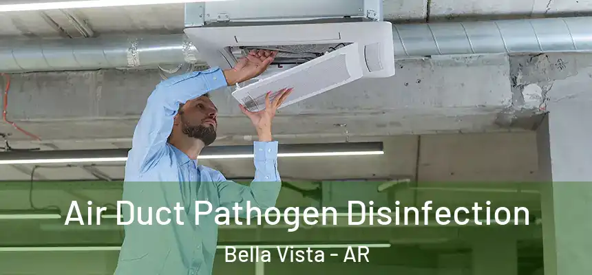  Air Duct Pathogen Disinfection Bella Vista - AR