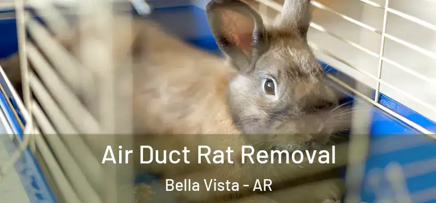  Air Duct Rat Removal Bella Vista - AR