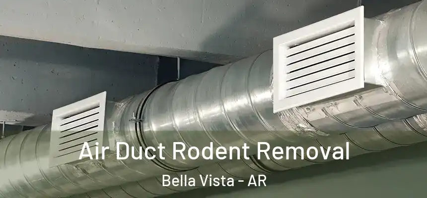  Air Duct Rodent Removal Bella Vista - AR