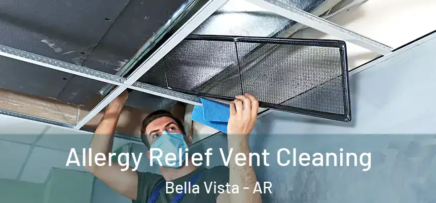  Allergy Relief Vent Cleaning Bella Vista - AR
