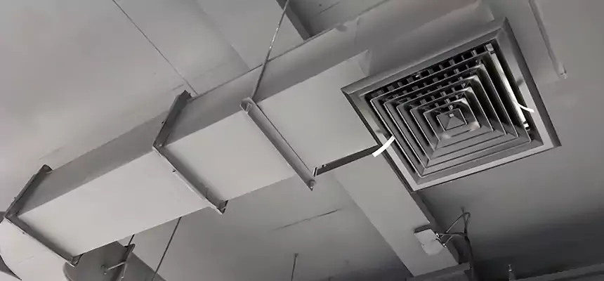 Restorative Allergy Relief Vent Cleaning – Coil, Blower & Housing Detail in Bella Vista