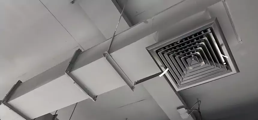 Our Rodent Droppings In Vents Services in Bella Vista, AR