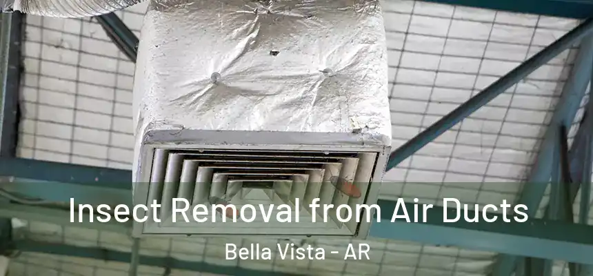  Insect Removal from Air Ducts Bella Vista - AR