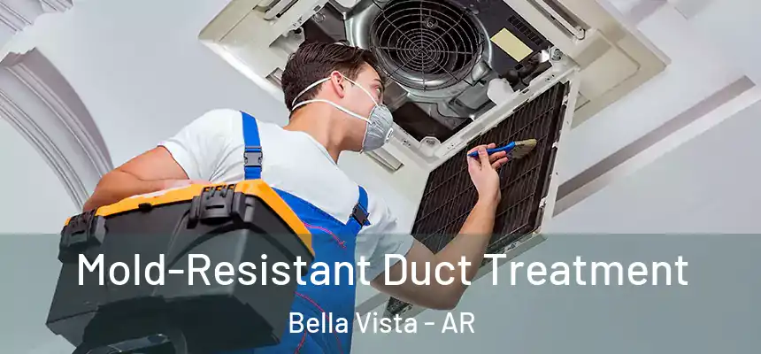  Mold-Resistant Duct Treatment Bella Vista - AR