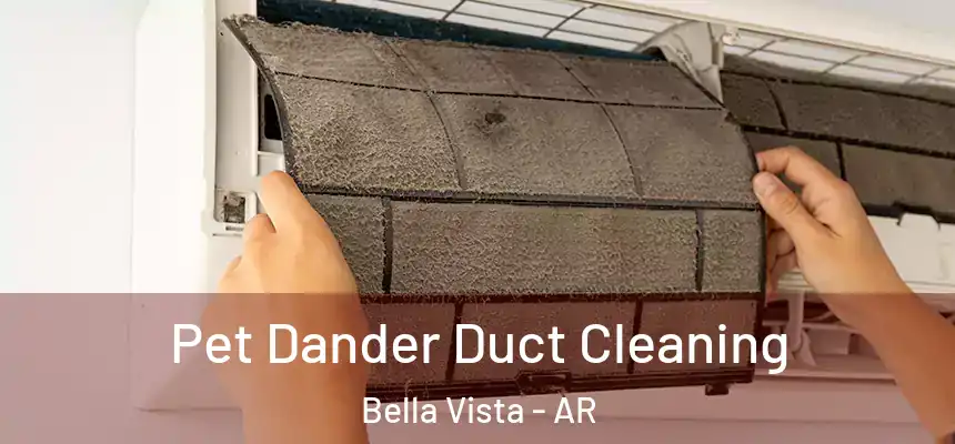 Pet Dander Duct Cleaning Bella Vista - AR