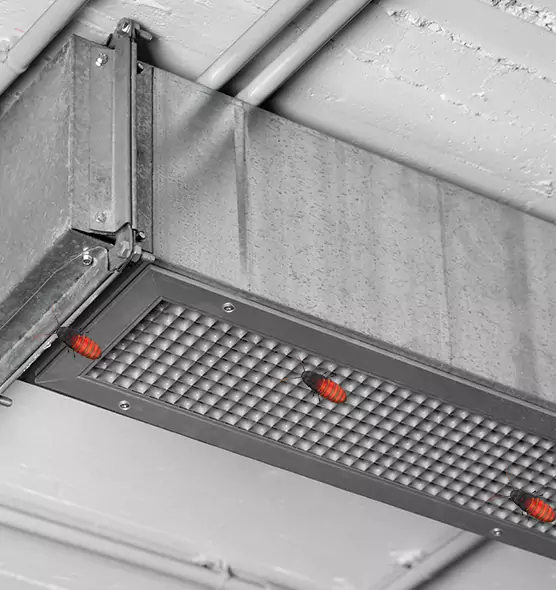 About Air Duct Cockroach Removal in Bella Vista, AR