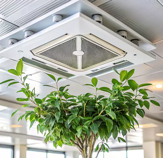 Why Homeowners & Businesses Trust Us in Bella Vista, AR?